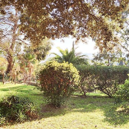 La Suite Costabella A Hyeres-Les-Palmiers Εξωτερικό φωτογραφία